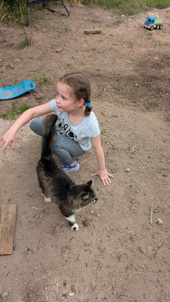 A girl gets up from petting a barn cat