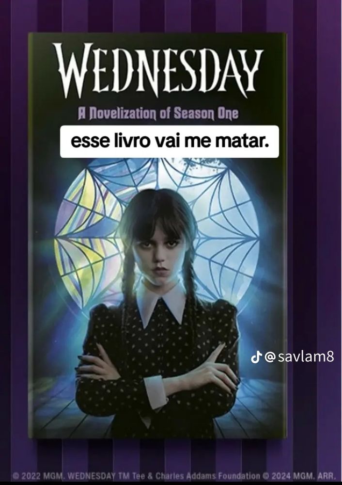 A capa do livro, só a Wandinha na frente da janela do quarto dela com a Enid