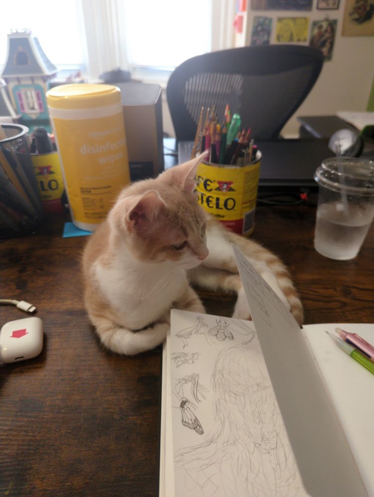 a photo of a two month old kitten lounging on a desk, sniffing the pages of an open sketchbook. the cat has a pale orange coat with medium white spotting.