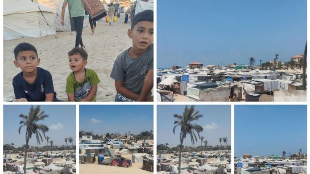 Help me save my family from the Gaza war, organized by Basem Waleed