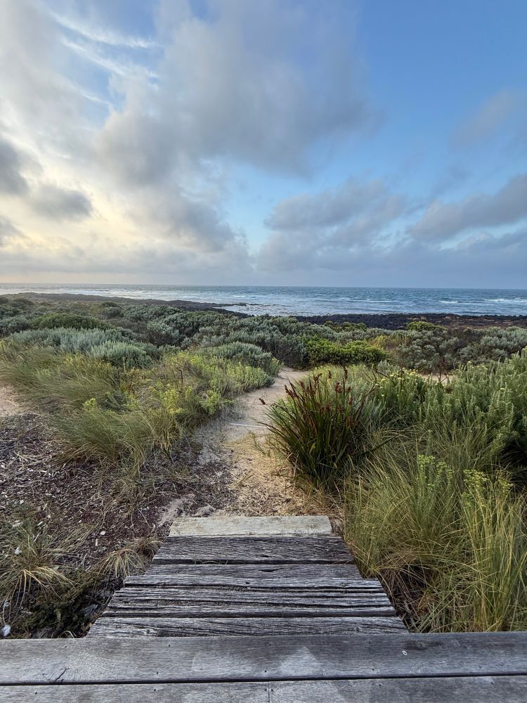 Sea scene with steps down to a path 