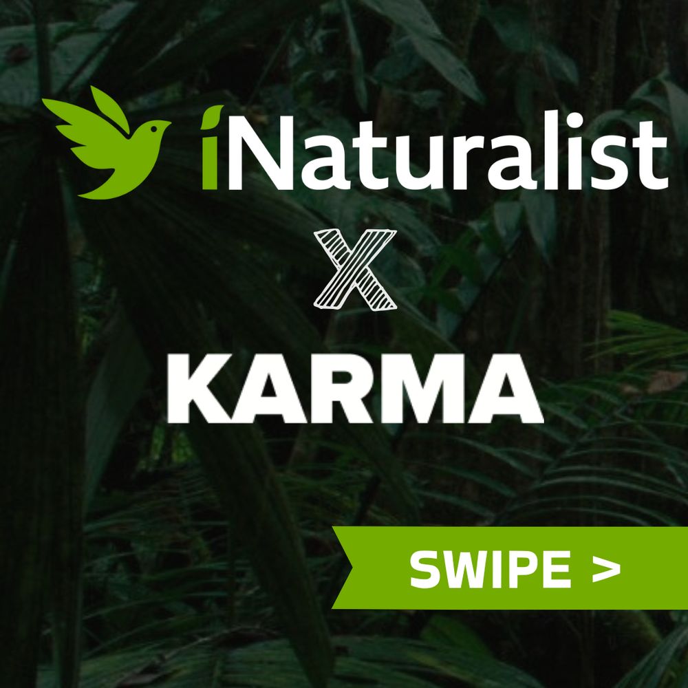 iNaturalist x KARMA partners to support biodiversity