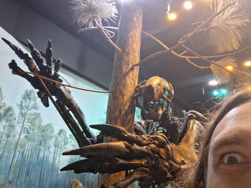 A giant ground sloth skeleton reaches for the camera with prodigious claws.