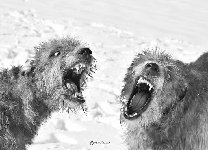 Let the playing commence!   