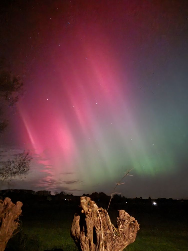 Red and green northern lights above a tree stump