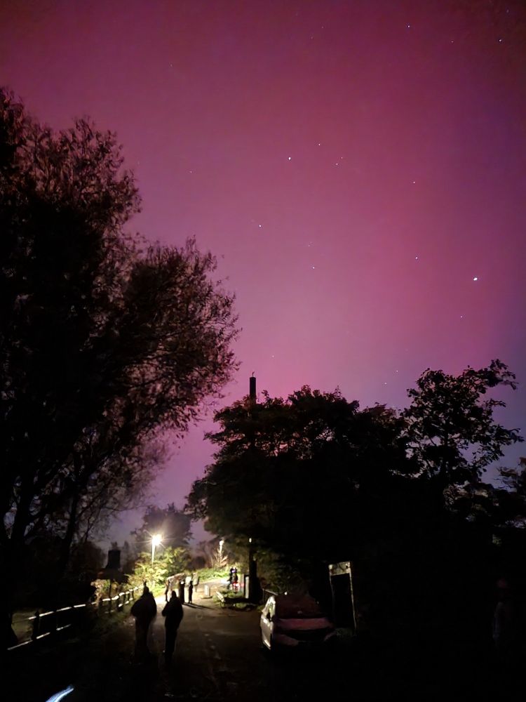 A purple sky over two dark trees. A road is visible with the silhouttes of people walking.