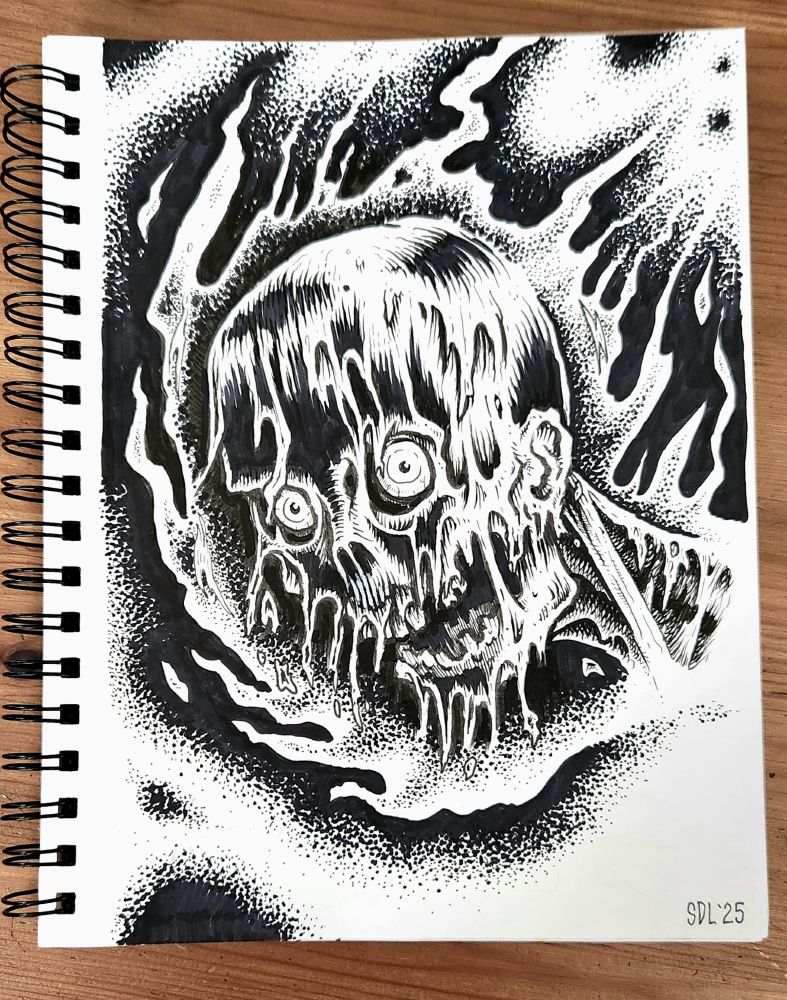 black and white pen & ink drawing of the flesh melting from a human head engulfed in nuclear fire

#art #pigmamicron #blackandwhiteart #skull #horror

