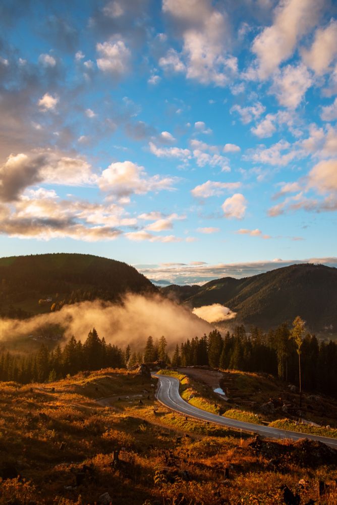 Golden light from a low sun illuminates a winding road as it snakes through a high mountain pass. The scene, framed by rolling hills and conifer forests, glows warmly under a sky dotted with fluffy clouds, evoking a peaceful alpine sunrise.