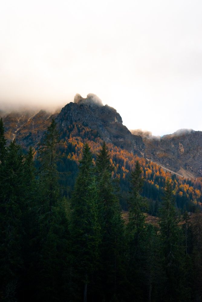 Autumn foliage in fiery orange hues clings to the slopes of a rugged mountain in the Dolomites. Pine trees dominate the foreground, while low clouds partially obscure the rocky peaks above, giving the scene a layered, ethereal quality.


