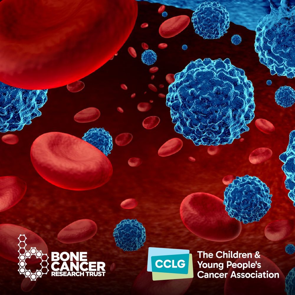 A 3D illustration of cancer cells migrating to other tissues and organs, creating metastasis. At the bottom third of the image is the Bone Cancer Research Trust logo to the left and CCLG's logo to the right. 