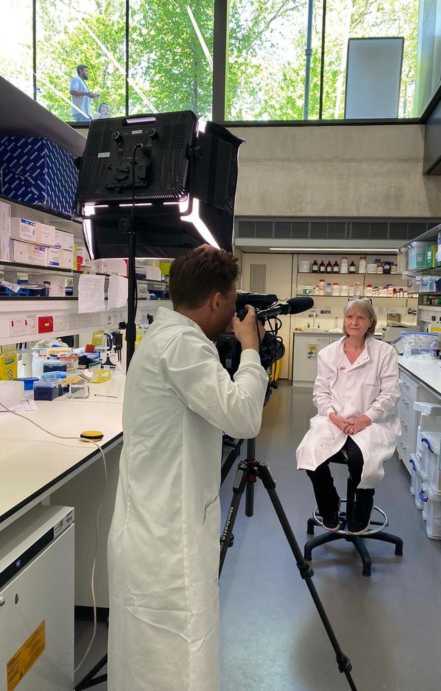 Professor Sibylle Mittnacht being interviewed in the UCL lab at the Great Ormond Street Institute of Child Health.