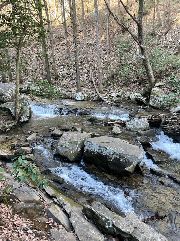 Mountain stream with lots of rocks and still barren trees