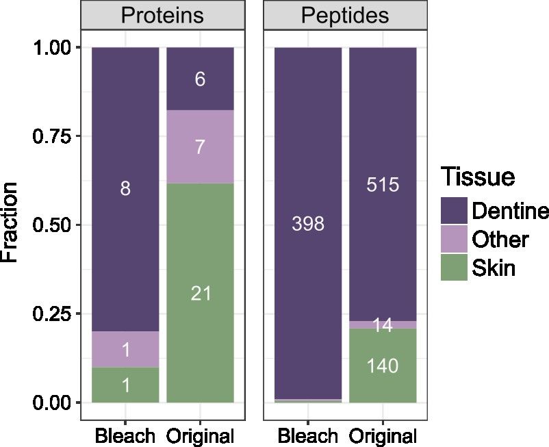 Figure showing that proteins and peptides from skin were almost entirely removed after bleach decontamination.