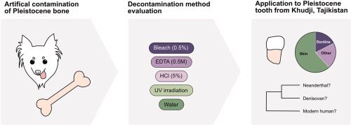 Graphical abstract of the publication.