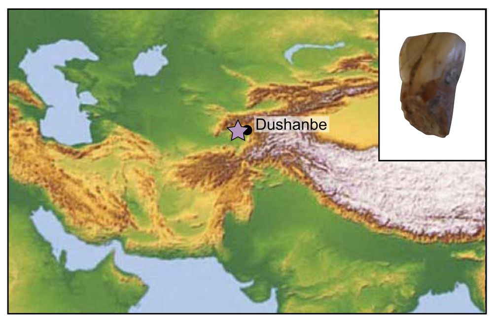 A map showing the location of the archaeological site of Khudji, and a photo of the analysed juvenile incisor.