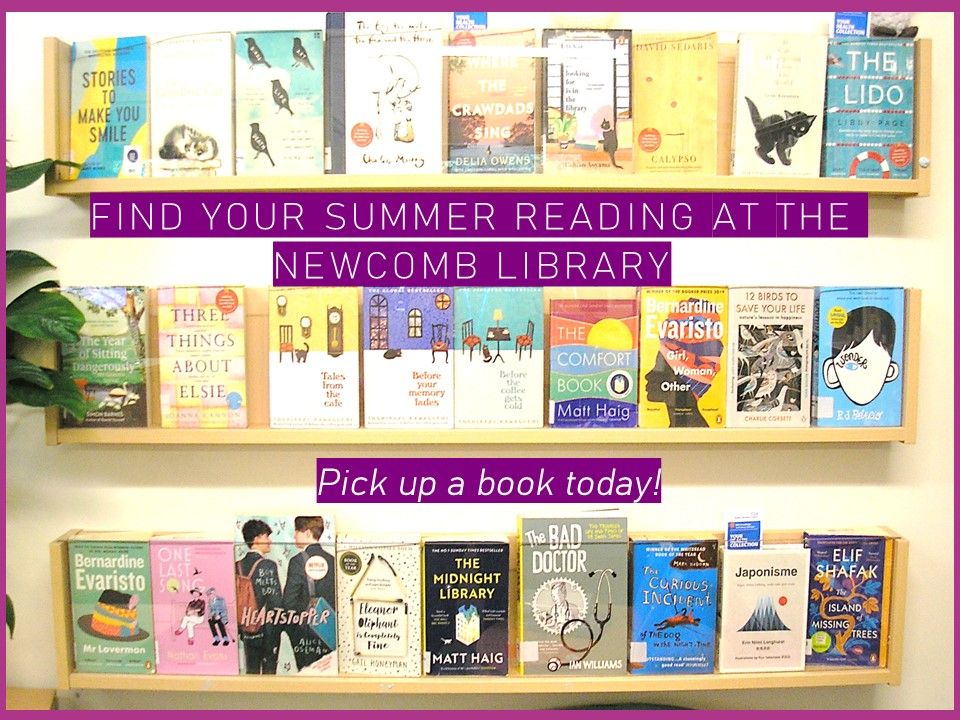 Find your Summer Reading here at the Newcomb Library - browse our Summer fiction display in the library and checkout one of these titles to enjoy - image shows books from our fiction collection