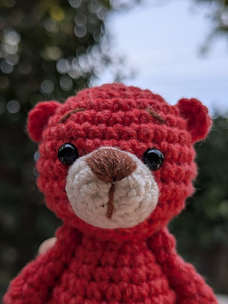 A closeup photo taken in a sunny yard, a tiny red teddy bear looks at the viewer patiently, a non-judgemental look in its shiny little black bead eyes 