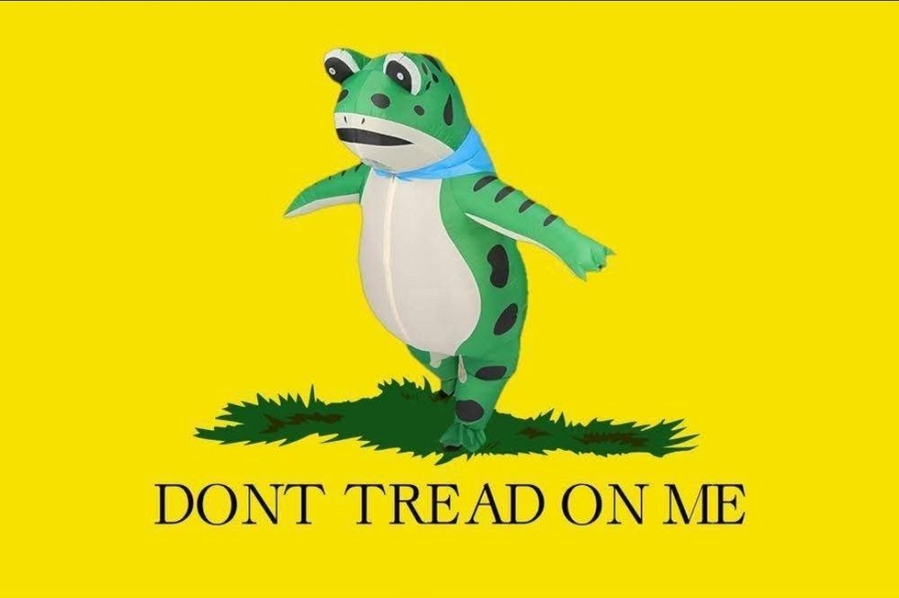 Dont tread on me flaf but with frog not snake