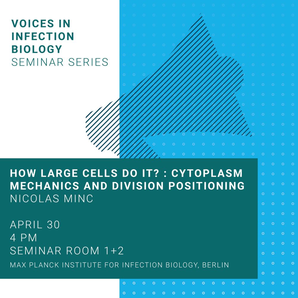 How Large Cells Do It? : Cytoplasm Mechanics and Division Positioning
Nicolas Minc

April 30
4 PM 
SEMINAR ROOM 1+2
MAX PLANCK INSTITUTE FOR INFECTION BIOLOGY, BERLIN

