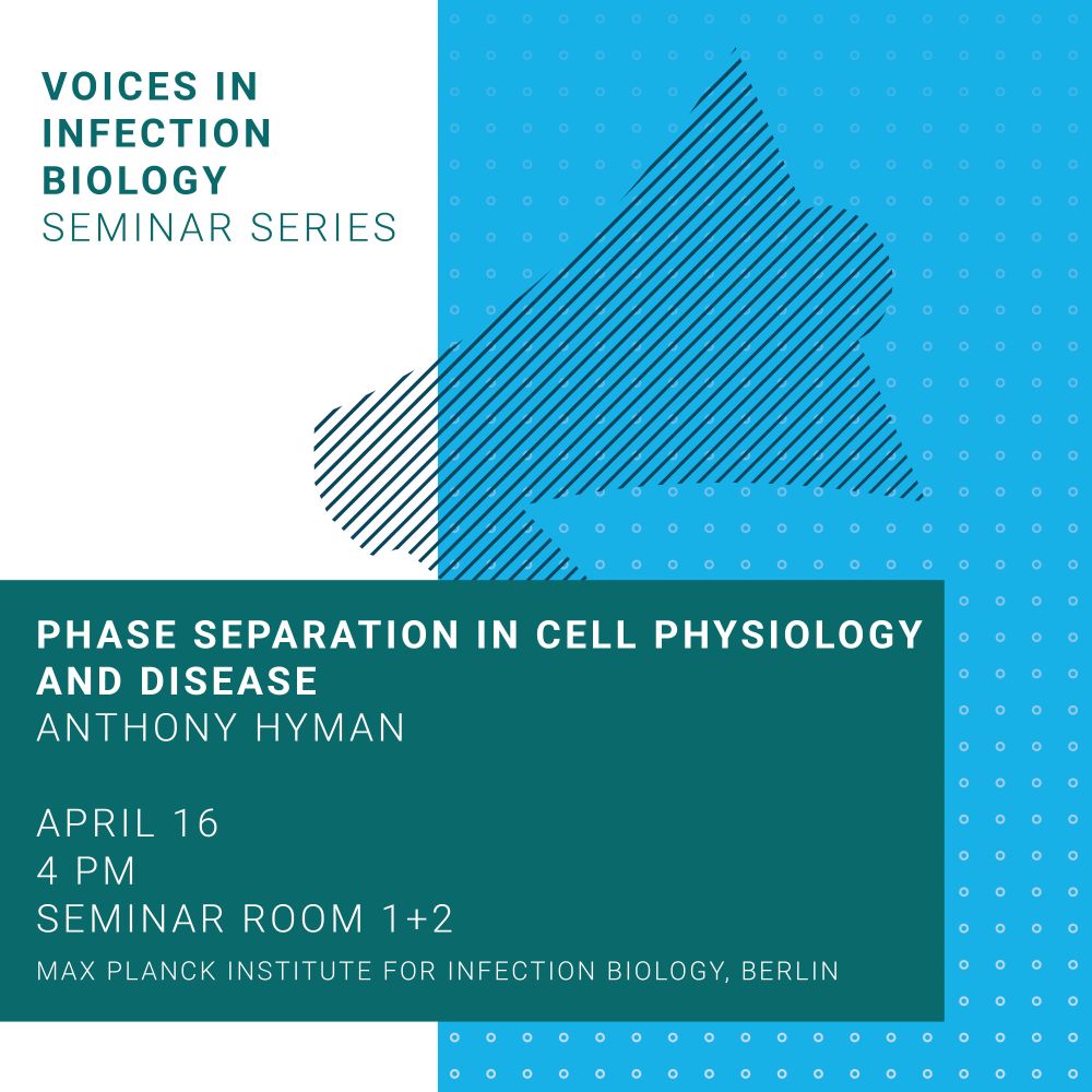 Phase Separation in Cell Physiology and Disease
Anthony Hyman
APRIL 16
4 PM 
SEMINAR ROOM 1+2
MAX PLANCK INSTITUTE FOR INFECTION BIOLOGY, BERLIN

