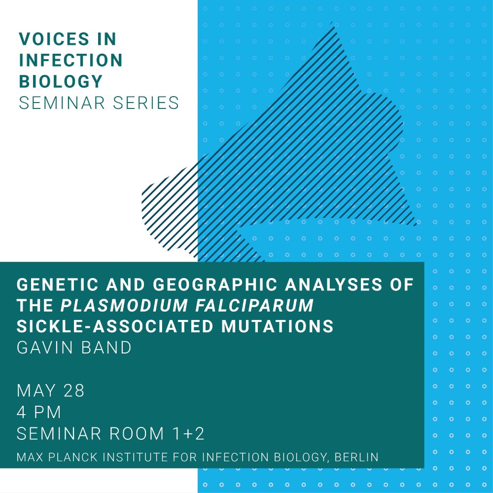 GENETIC AND GEOGRAPHIC ANALYSES OF THE PLASMODIUM FALCIPARUM SICKLE-ASSOCIATED MUTATIONS
Gavin band

may 28
4 PM 
SEMINAR ROOM 1+2
MAX PLANCK INSTITUTE FOR INFECTION BIOLOGY, BERLIN