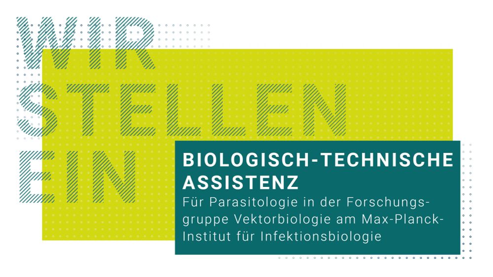 Wir stellen ein
BIOLOGISCH-TECHNISCHE ASSISTENZ
Für Parasitologie in der Forschungs- gruppe Vektorbiologie am Max-Planck- Institut für Infektionsbiologie