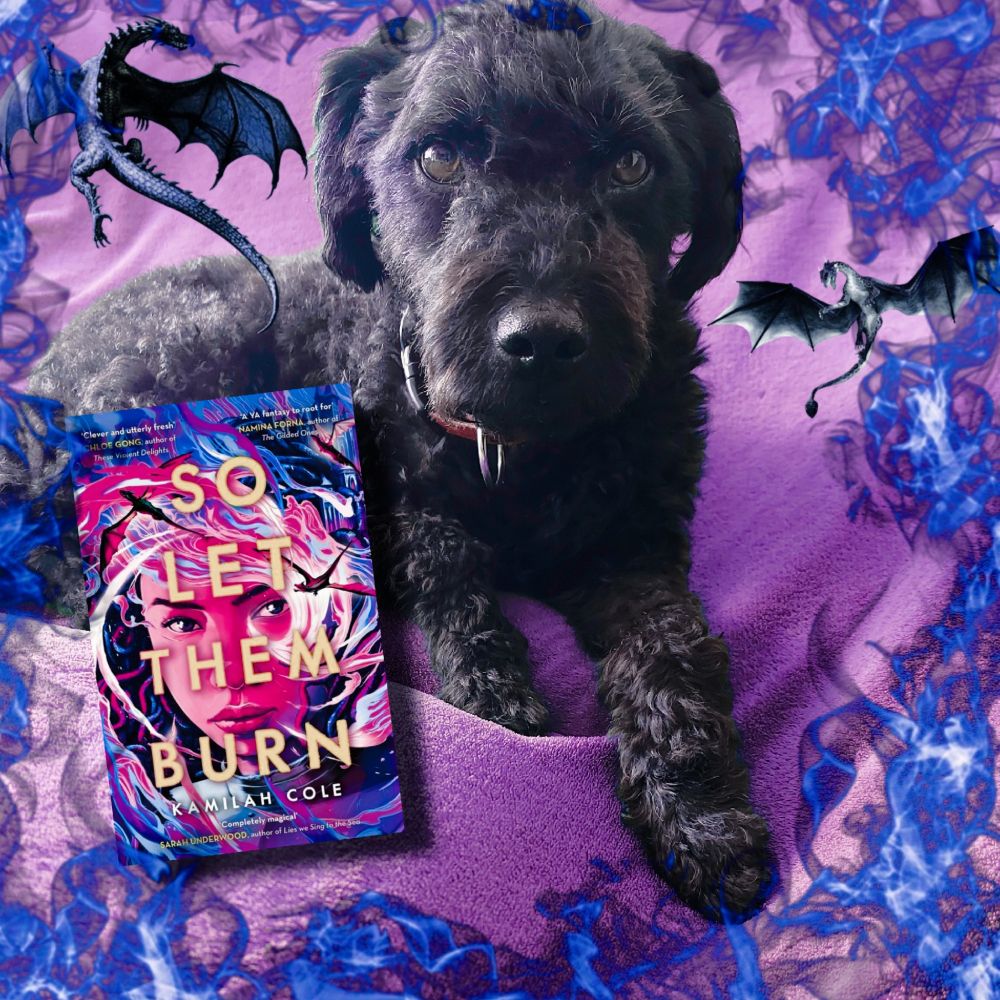 A black fluffy dog on a pink blanket. The book So Let Them Burn is to his left. Two gray dragons fly around him. Blue flames border the picture on all sides.