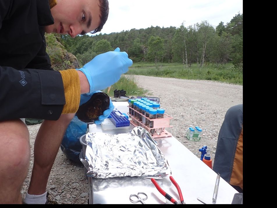  PhD researcher Dan Cossey sampling in the field 
