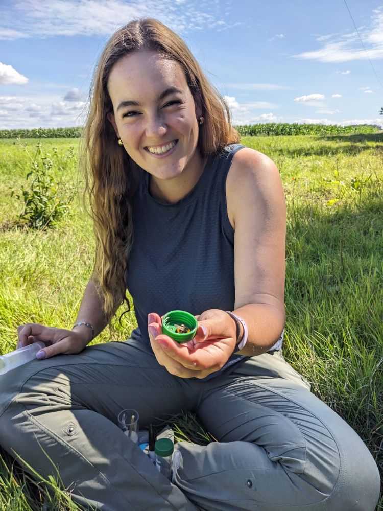 Postgraduate Researcher Sofia Dartnell in the field collecting bumblebees