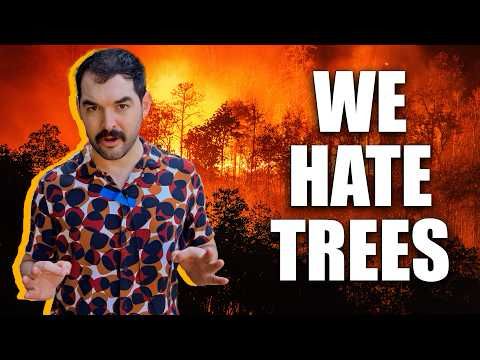 We're Deep Frying The Rainforest | Climate Town