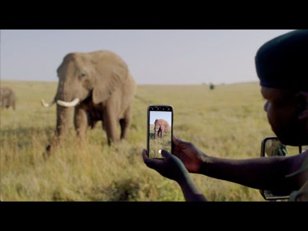 EarthRanger Mobile
