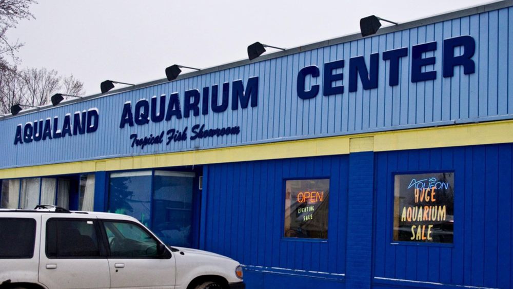 Aqua Land: The Way Of Water - Let's warm up our riffing muscles for the week by making fun of some fish! This beloved local aquarium is sure to please even the most jaded traveler as they roll through and appreciate the majesty of the natural world.