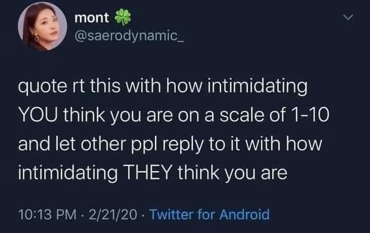mont @saerodynamic_

quote rt this with how intimidating
YOU think you are on a scale of 1-10 and let other ppl reply to it with how intimidating THEY think you are