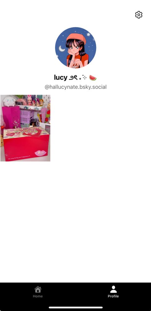 screenshot of my profile/feed on skylight social beta