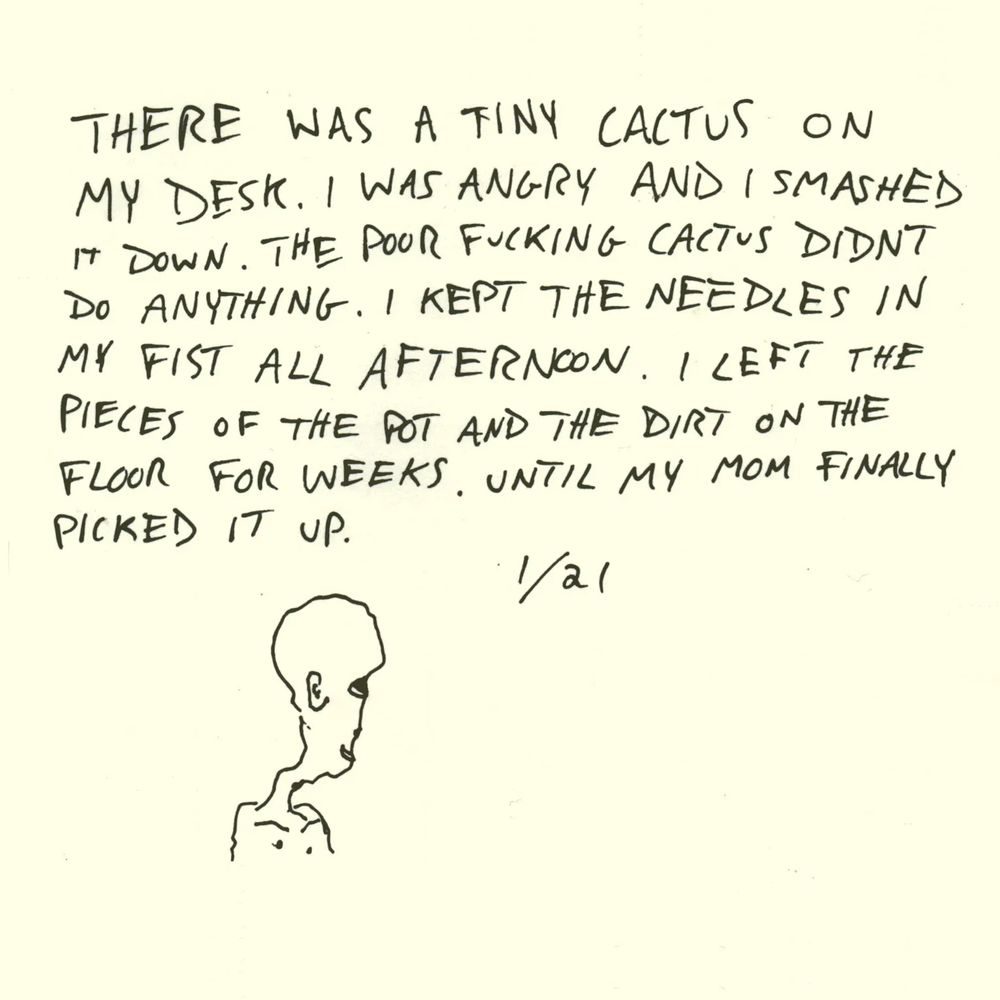 horse jumper of love album cover