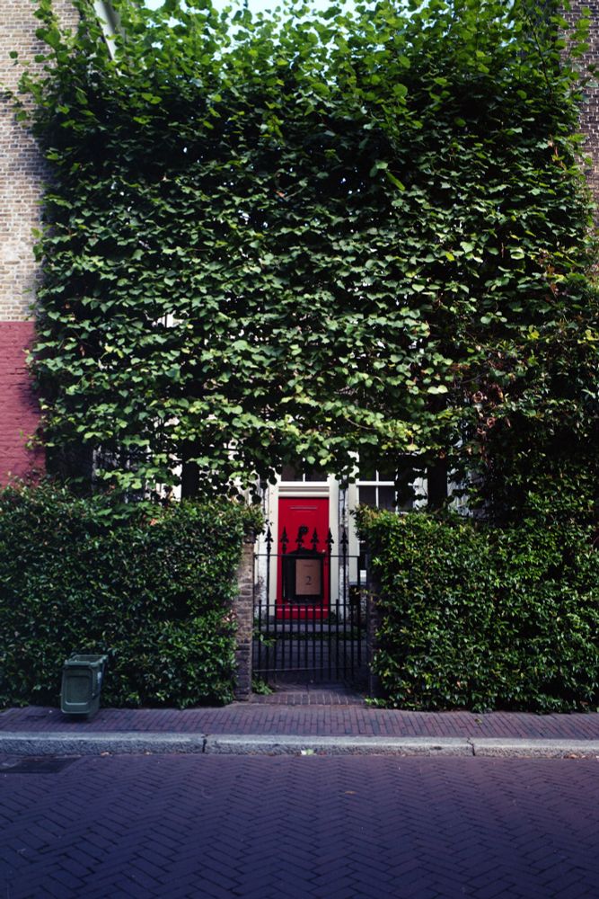 A red door in the middle of a wall of green leaves