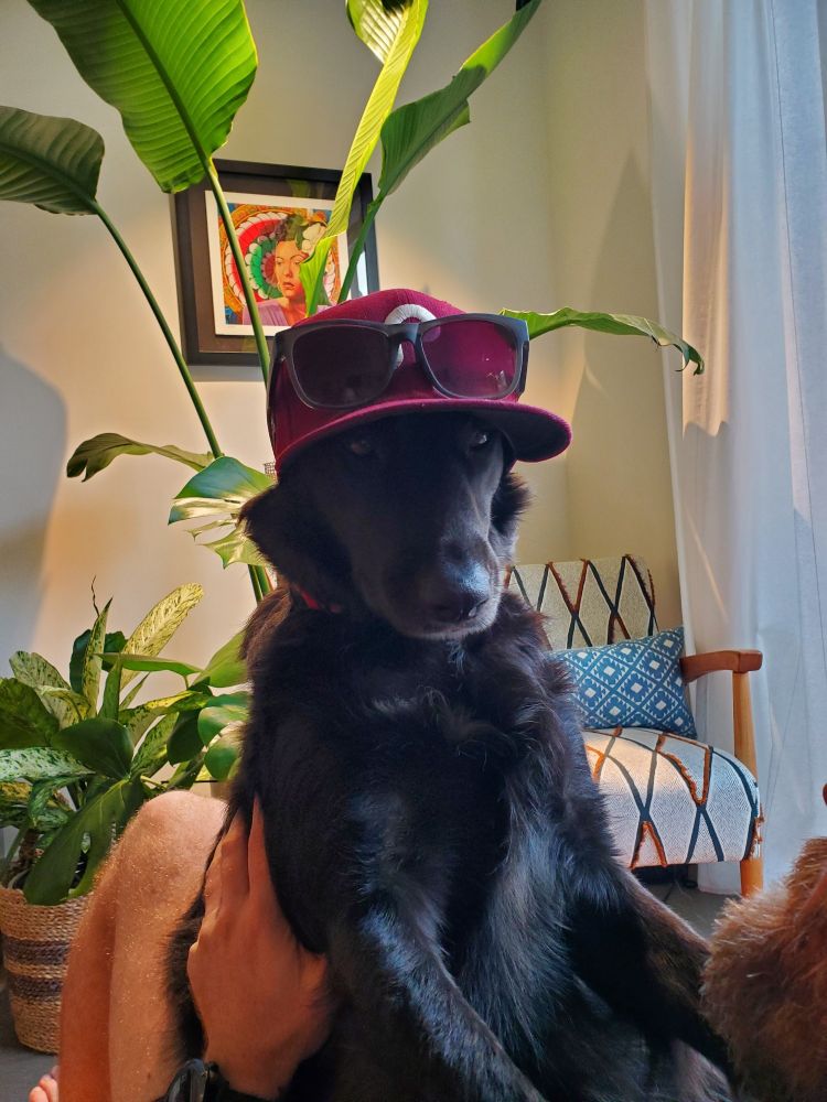 The goodest girl is wearing her south Philly gamer babe fit