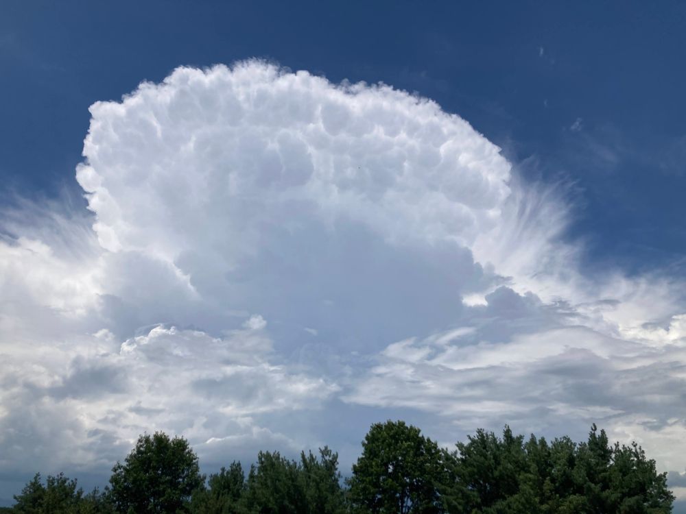 White cumulonimbus cloud of a thunderstorm, showing a perimeter of mammatus clouds. Green tree tops are visible at the base of the photo in the foreground. Blue sky is visible above the white clouds.