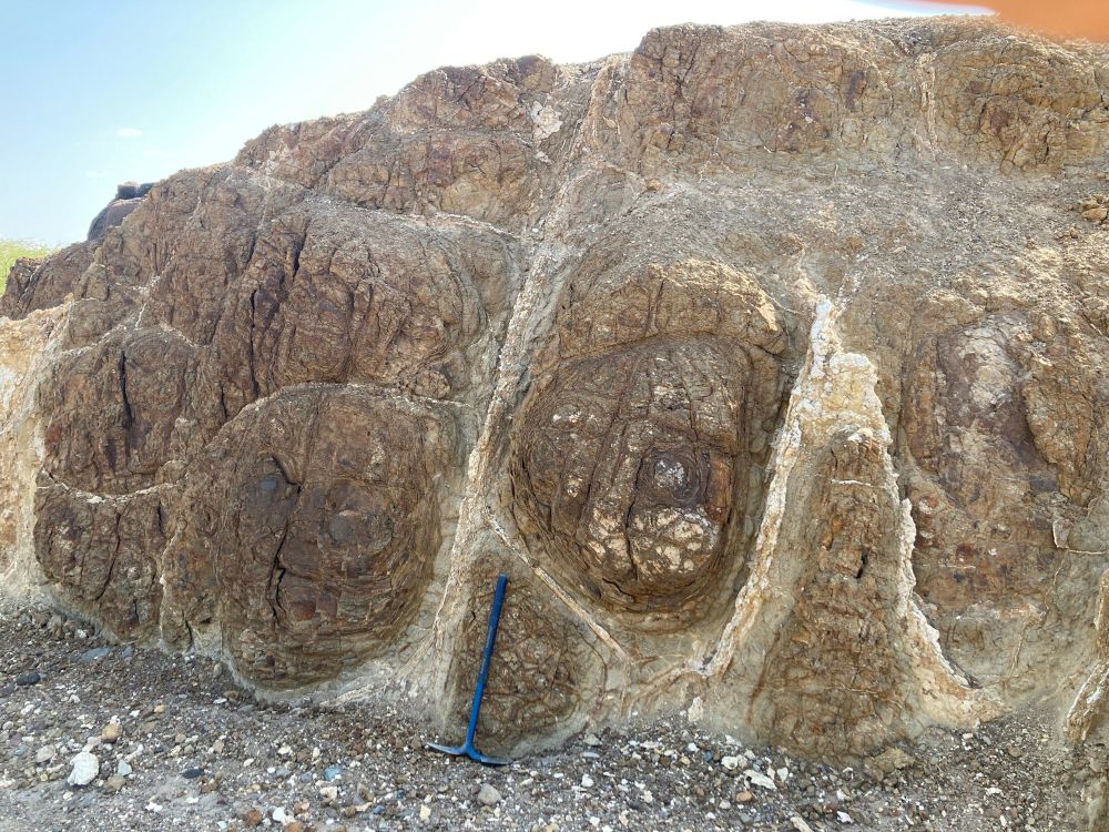 Rock outcrop of weathered, brown basalt with white calcite veins surrounding ellipsoidal corestones. The corestones have variegated weathering zones that look like faces. Rubble on the ground in front of the outcrop and white-blue sky above. A blue paleo-pick (65 cm long) leans against the outcrop.