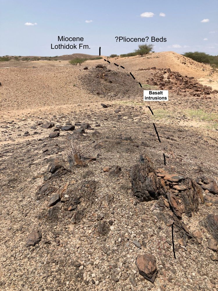A field photo showing black rocks (labeled "Basalt intrusions") running down the middle of the photo. To the left is a lowland labeled "Miocene Lothidok Fm." and to the right are orange beds with slightly more topography, labeled "?Pliocene? beds". A blue sky with a few white clouds is visible above, and scattered acacia trees dot the landscape.