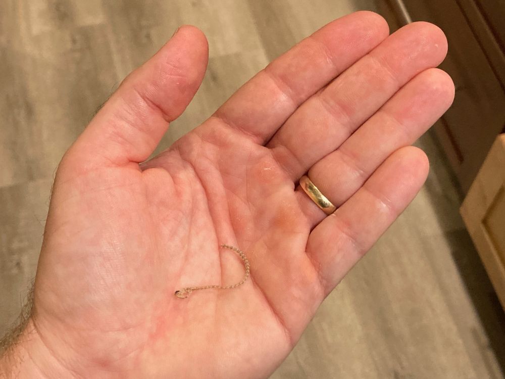 A tiny, tan-colored snake skeleton consisting of many attached vertebrae and a very small snake skull, on top of a human hand. The snake skeleton is in the center of the palm of the hand and is approximately 1.5 inches long. 