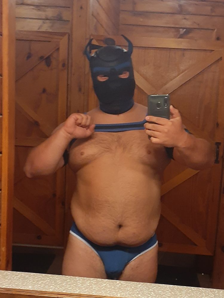 A mirror selfie of Ted in some of his puppy gear and underwear 