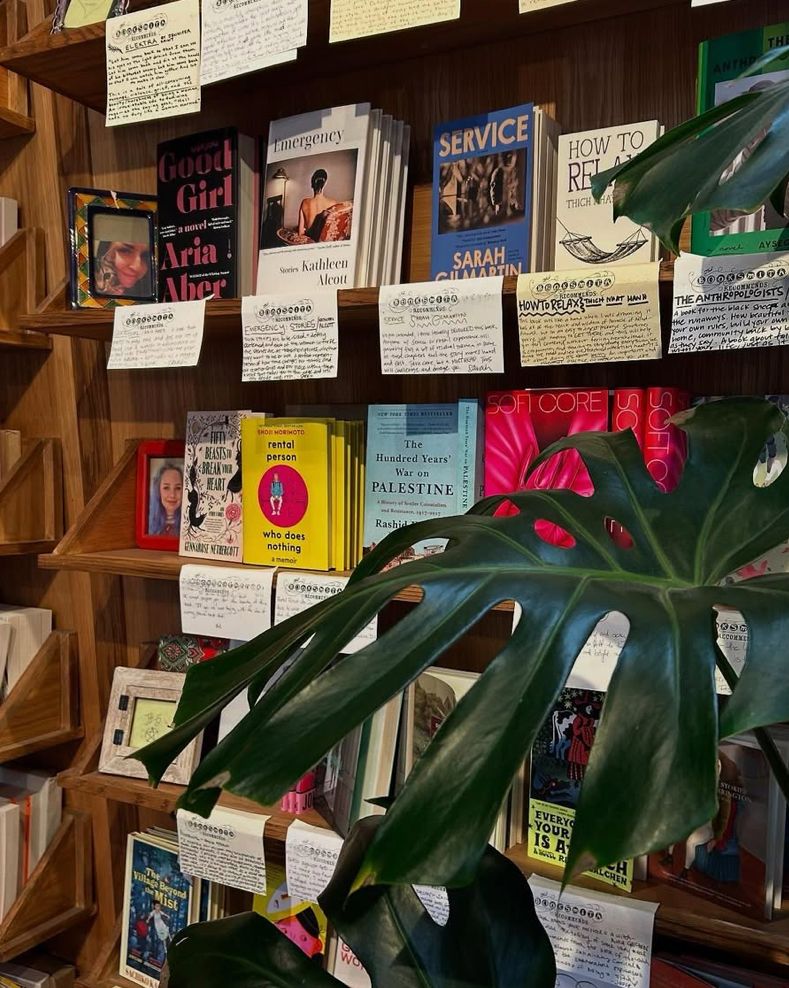 bookshelves with a plant obscuring them