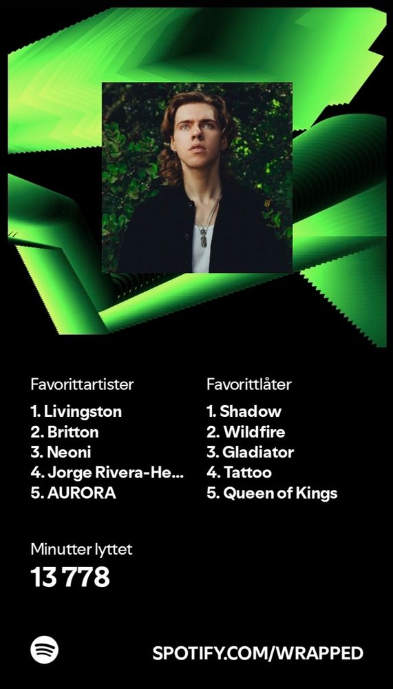 Depicts the favorite artists and songs on Spotify Wrapped for poster.
Artists are Livingston, Britton, Neoni, Jorge Rivera-Herrans and AURORA. Songs are Shadow, Wildfire, Gladiator, Tattoo and Queen of Kings.