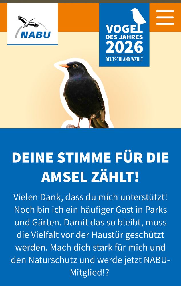 Screenshot von der Abstimmung zum Vogel des Jahres. Hier wurde die Amsel gewählt. 