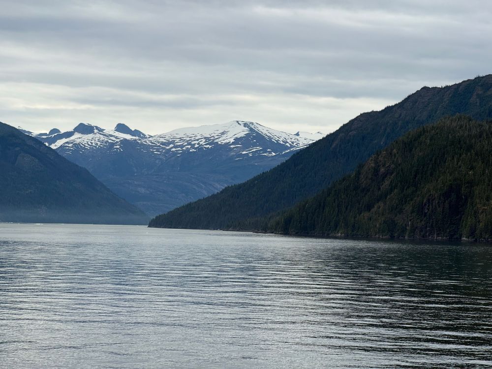 Travelling down the Endicott arm to see a glacier. Ice covered peaks ahead, with tall green covered hills on either side.