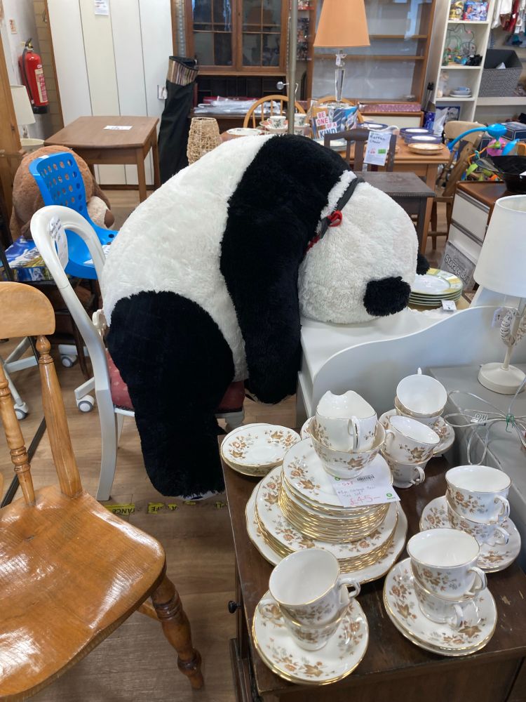 Giant plush panda sitting at a desk, head down and looking forlorn, waiting for somebody with love to give (and plenty of floor space)