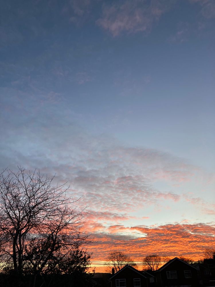 Pretty sunrise—trees and houses silhouetted, textured orange clouds, wisps, clear skies above