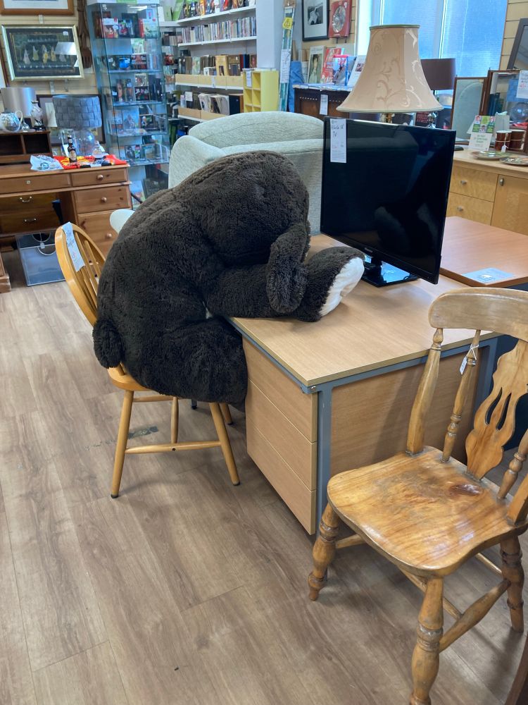 Giant brown plush (rabbit??) in similar pose. A blank computer monitor stands on the desk in front, ignored, completing the scene of twenty-first century ennui.