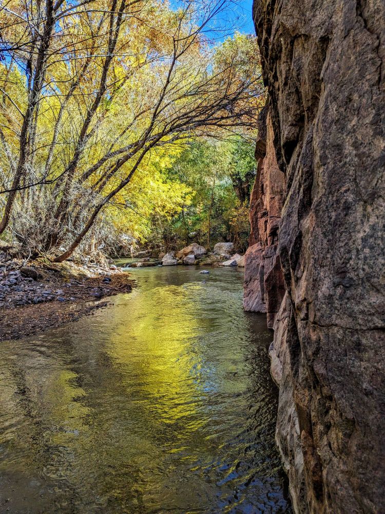 Highlighter-colored leaves reflect off of the creek.